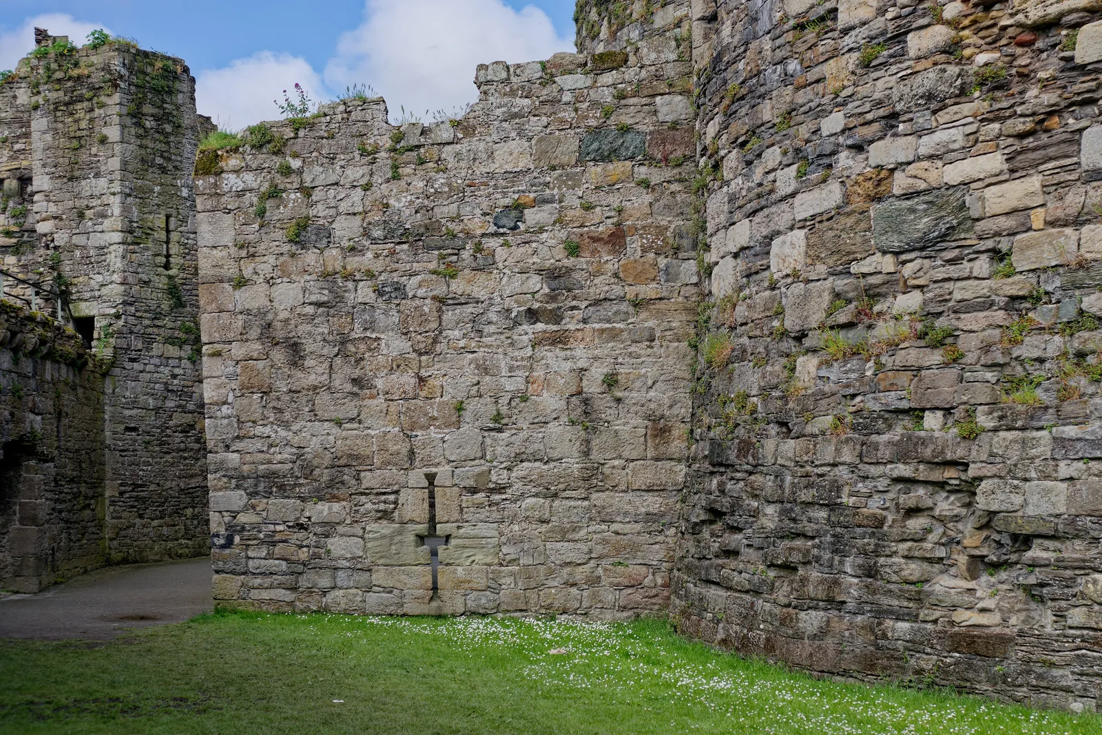 Inside Beaumaris Castle: a tall stone curtain wall pierced by a single arrow-slit, a square mural tower to the left, and daisies on the grass at the wall&rsquo;s foot.