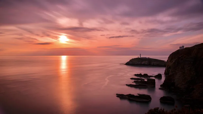 South Stack Lighthouse on its headland at sunset, the sea and the path to the light catching the last gold light.